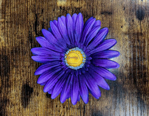 Purple Gerbera Daisy Hair Clip