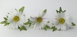 White Daisy Hair Pins